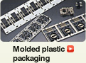 Molded plastic packaging